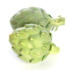 Sticker - organic artichoke