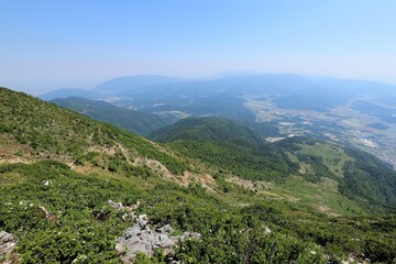 Wall Mural - 初夏の伊吹山山頂