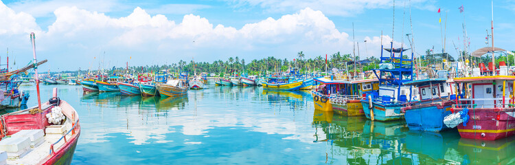 Poster - Panorama of azure harbor of Mirissa, Sri Lanka