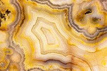 Australian Crazy Lace Agate Closeup