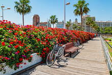 Bridge Of Flowers In Valencia Spain
