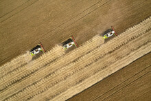 Harvesting By Combines On Gold Field Of Ripe Cereals