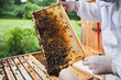 © David Sciora/Stocksy - Beekeeper collecting honey from the beehive