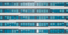 Building Facade / Modern Office Building  / Glass  Facade