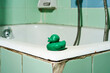 © Juan Moyano/Stocksy - green rubber duck on a bathtub