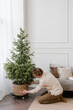 © Alina Hvostikova/Stocksy - Young guy decorating apartment with potted coniferous tree during Christmas holidays