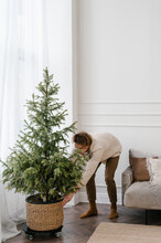 Young Guy Decorating Apartment With Potted Coniferous Tree During Christmas Holidays