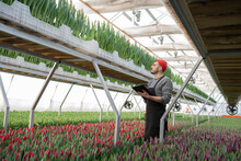 A Guy In A Red Hat Works In A Flower Greenhouse