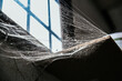 © David Prado/Stocksy - Spider web hanging between wall and windowsill