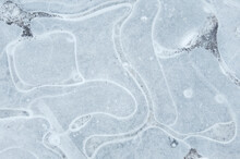 Detail Of Air Bubble Patterns In A Frozen Puddle. UK.
