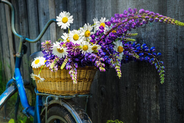 bouquet of wild flowers in a basket and on a bicycle