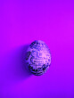 © Wizemark/Stocksy - Custom made Easter egg on violet background