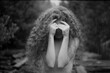 © Anna Malgina/Stocksy - young woman closing her face