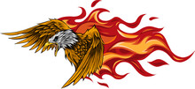 Vector Illustration Of Eagle With Flames Design
