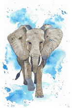 Animal Illustration: Elephant, Blue Watercolor Background