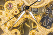 © Marilar Irastorza/Stocksy - Internal Mechanism of a Watch