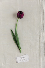 Tulip With Tag Name