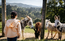 Girl With Donkeys Outdoors