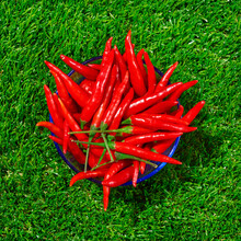 Red Chili Peppers In A Bowl
