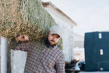 Farmer Carrying Hay Bale On Shoulder