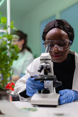 Wall Mural - biologist researcher scientist looking at leaf sample under medical microscope while writing biologi