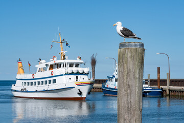 Wall Mural - harbour cruise in sylt, schleswig-holstein, germany