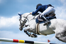 Equestrian Sports Photo Themed: Horse Jumping, Show Jumping, Horse Riding.