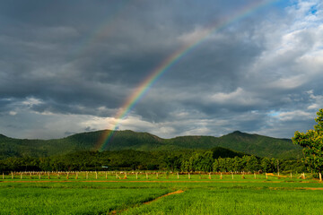  landscape of view Rice fields, mountains and rainbows in the countryside of Thailand