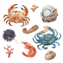 Crabs And Shrimps, Shellfish. Set. Watercolor Illustration On A White Background. 