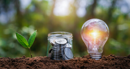 Wall Mural - lightbulb with plant growing and money in jug glass on soil in nature. saving energy power. finance accounting concept