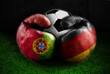 Football Portugal vs Germany