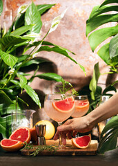 Wall Mural - Pink grapefruit and rosemary gin cocktail is served in a prepared gin glasses