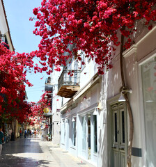 Beautiul flower lined street in Nafplio ( aka Nauplia, Nafplion)