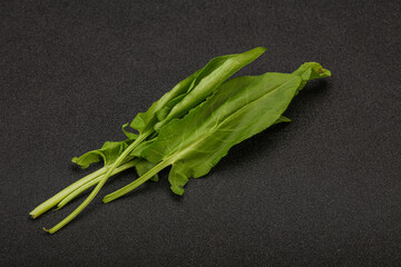 Aroma Fresh green sorrel heap