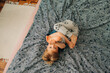 © Olga Moreira/Stocksy - Boy having fun on bed