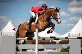 Horse Jumping, Equestrian Sports, Show Jumping themed photo.