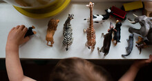 Anonymous Child Playing With Animal Figurines
