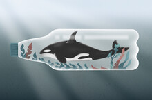 Orca Whale In A Plastic Bottle In Ocean