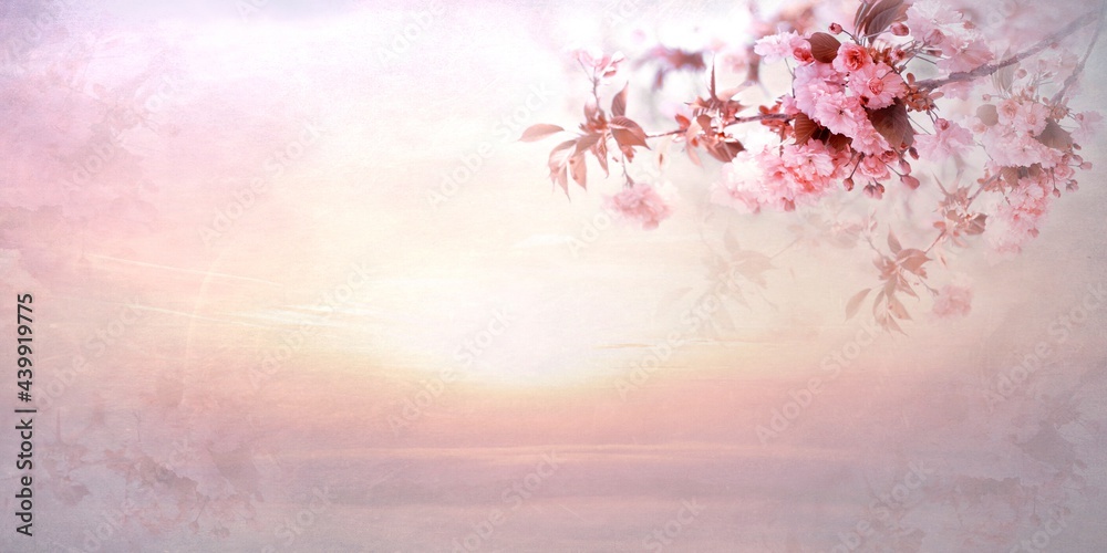 Obraz na płótnie Kwiaty panorama, wiśnia Kanzan gałąź. Copy space w salonie