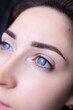 close-up of a girl's eyebrows with permanent makeup