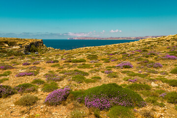 mediterranean landscape