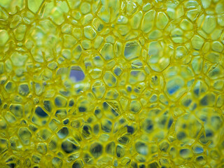 Close-up abstract background made of bubble plastic in light green color