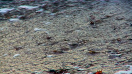 Wall Mural - waves crashing into a sand beach during sunset