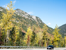 Fall Foliage At Stevens Pass Along US Highway 2 In Cascade Mountains - Washington State, USA