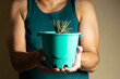 © Narayan - man holding a potted plant for decoration, houseplant concept
