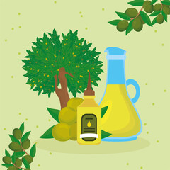 Poster - olive oil plant