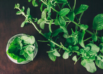 Canvas Print - Top view of mint leaves in a jar on a wooden table