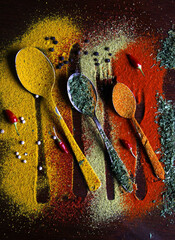 Canvas Print - Top view of metal multisized spoons arranged next to each other covered with different spices