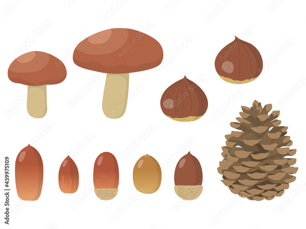 ヤチコダルマ　栗　柿　きのこ　どんぐり　秋の収穫祭 ヤチコダルマ 栗 柿 きのこ どんぐり 秋の収穫祭 - メルカリ