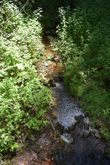 Sticker - wilde Wolfsschlucht in der Eifel